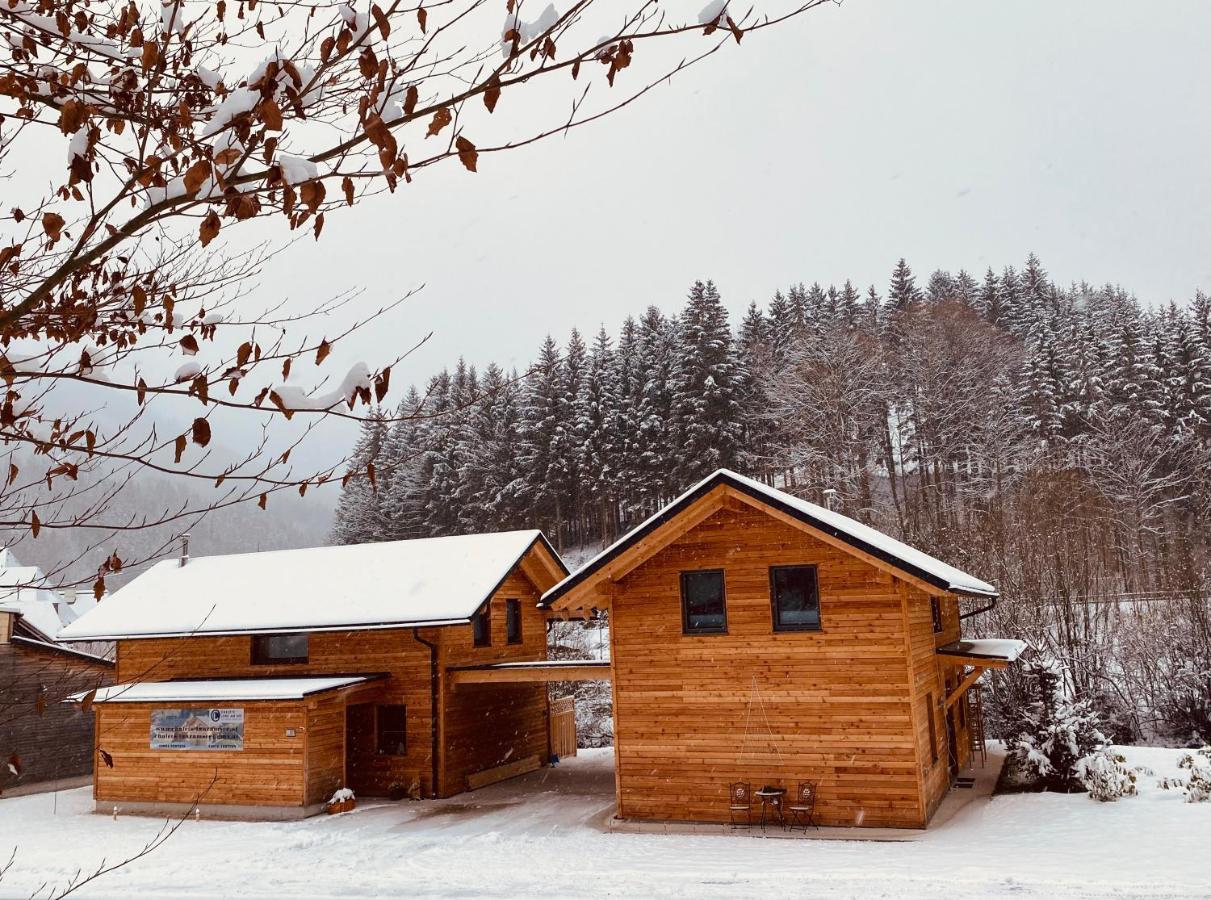 Chalets Lunz Am See Exterior foto